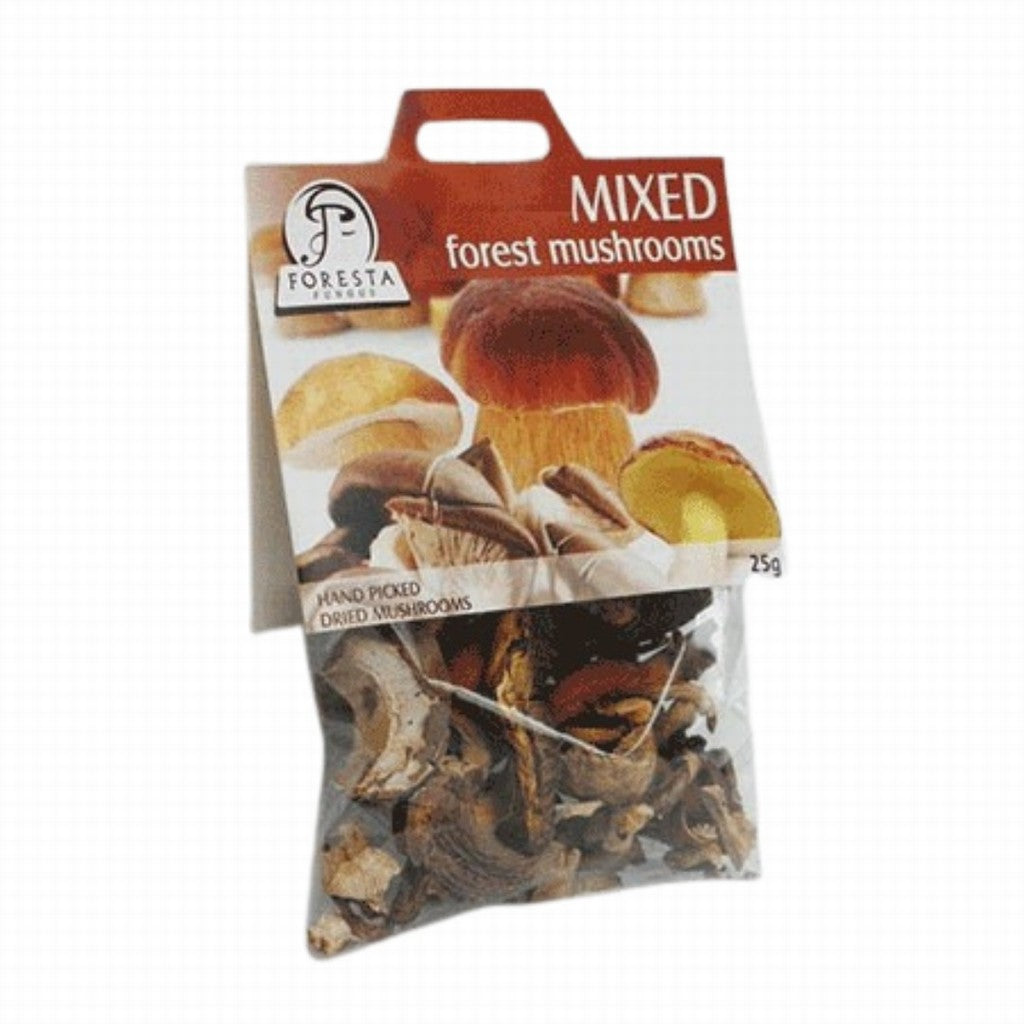 Foresta Fungus Mixed Forest Mushrooms