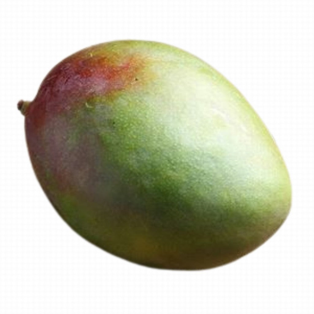 Mango Organic