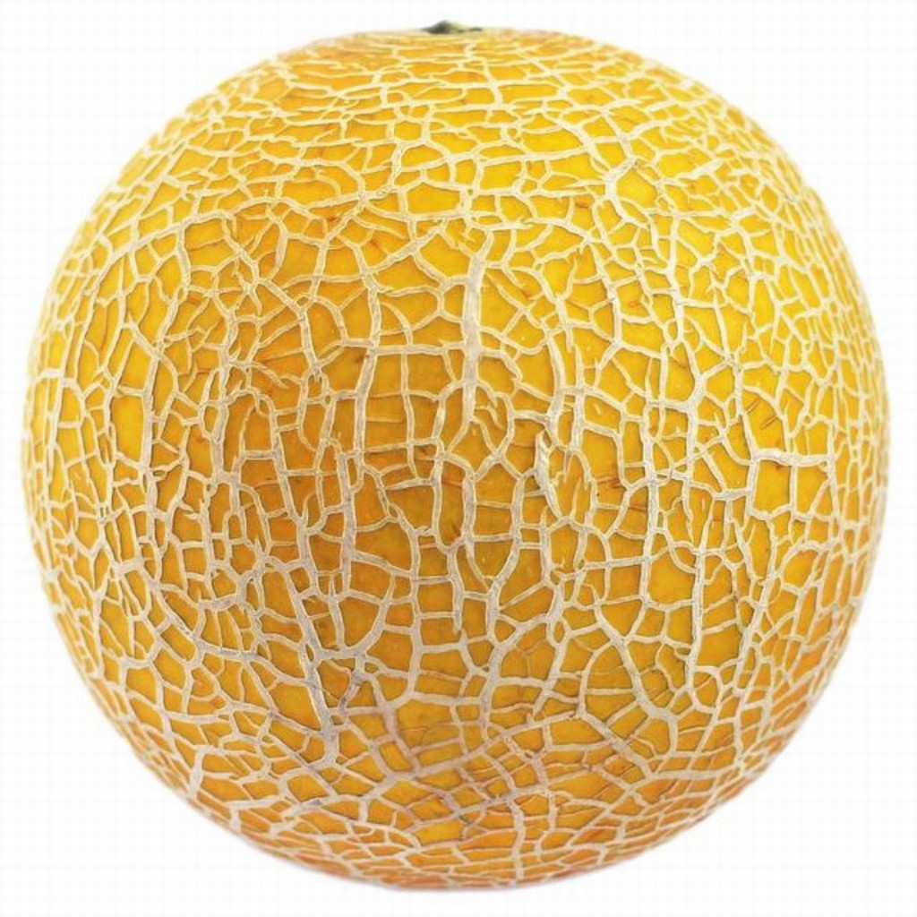 Melon Galia Organic