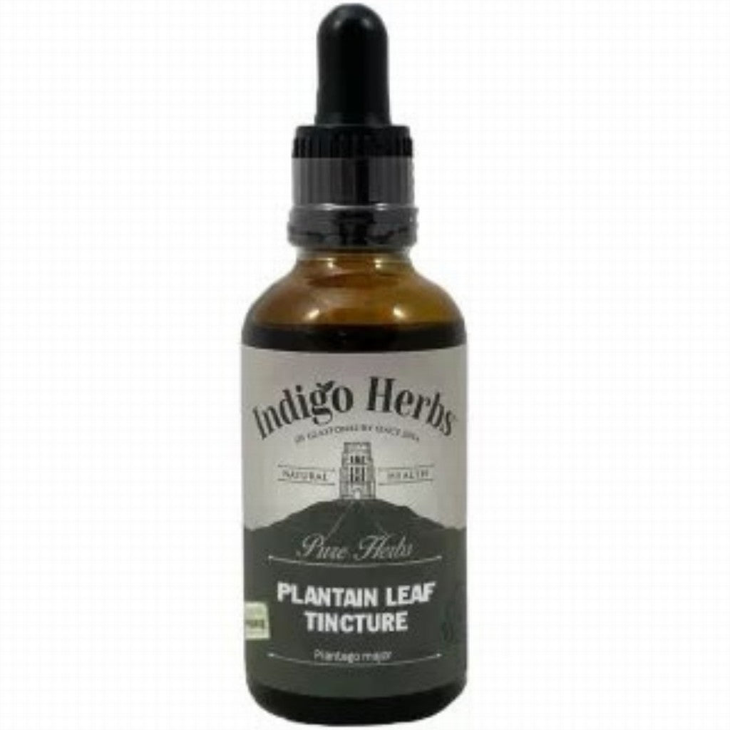 Indigo Herbs Plantain Leaf Tincture 50Ml