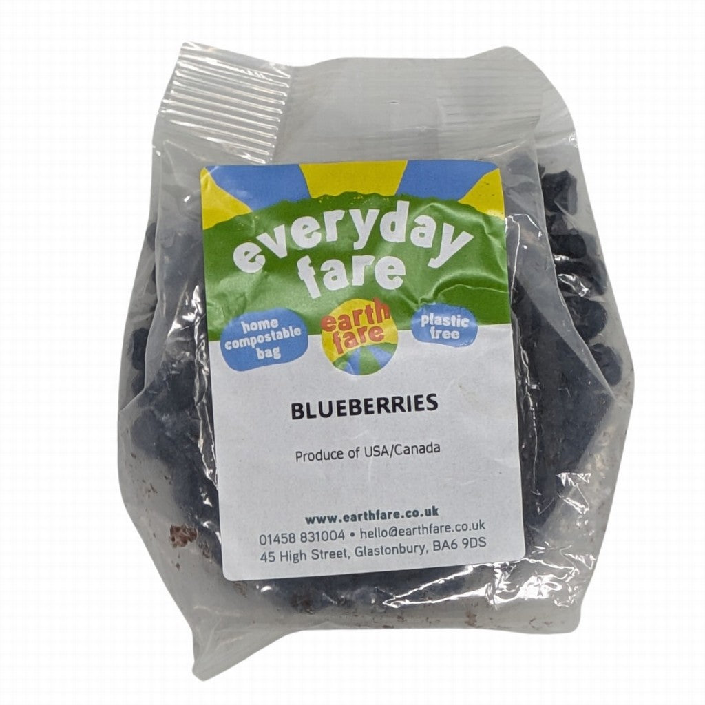 Earthfare Everyday Dried Blueberries