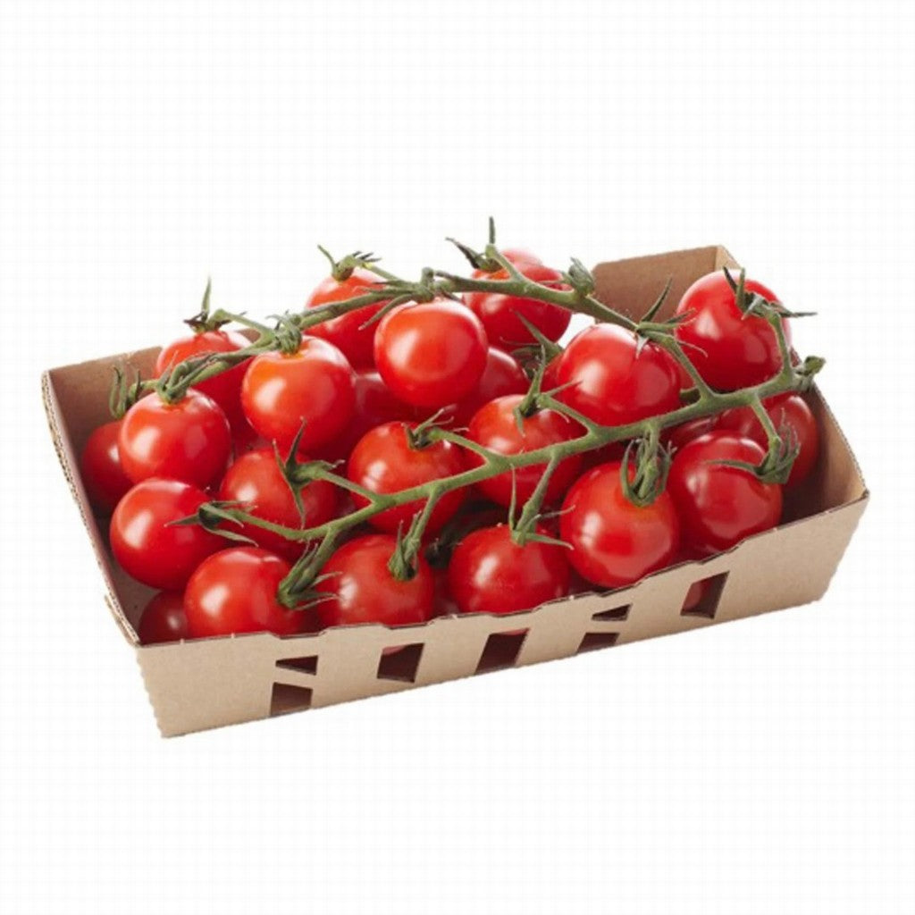 Tomatoes Cherry Organic Punnet