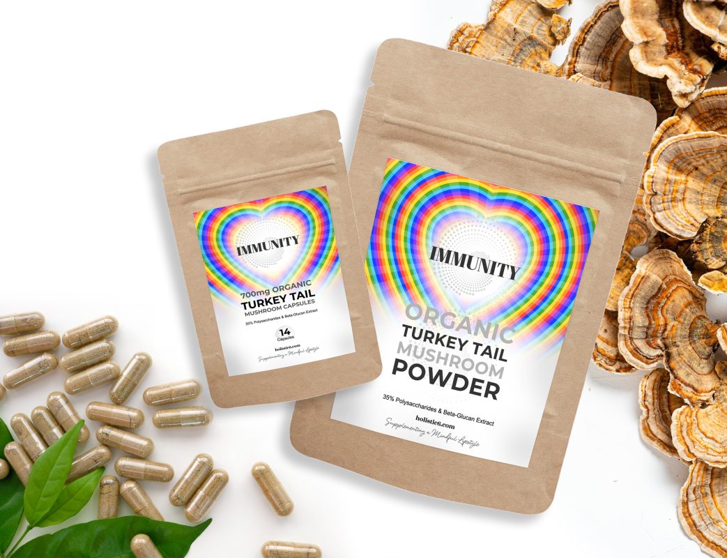 Holistic 6 Turkey Tail14 Capsules