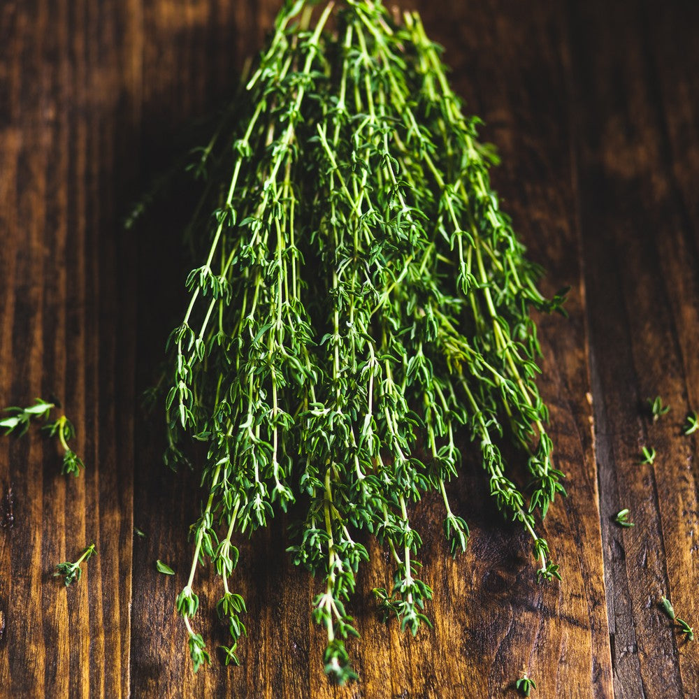 Thyme Organic