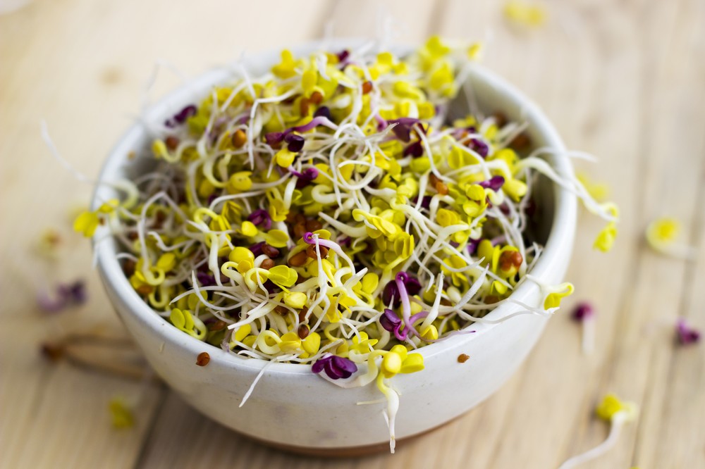 Sky Sprouts Organic Sprouted Clover & Radish