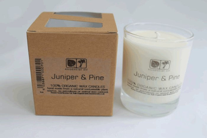 Heaven Scent Juniper & Pine Aromapot
