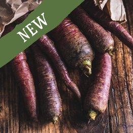 Carrots Purple Organic