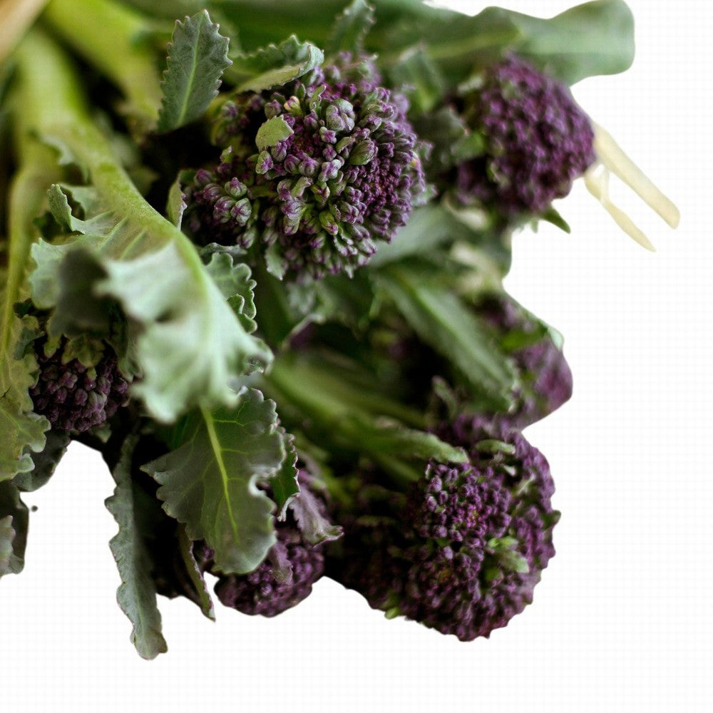 Broccoli Purple Sprouting Organic Pack