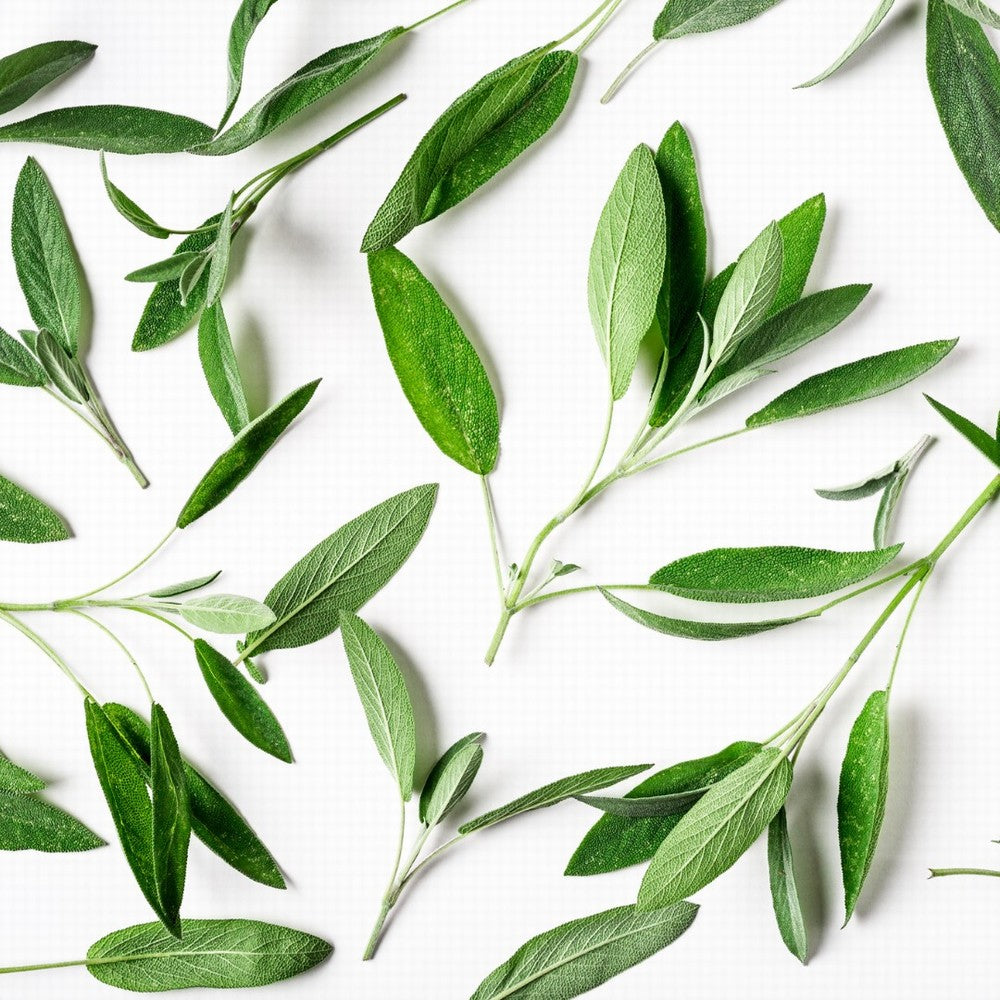 Sage Organic