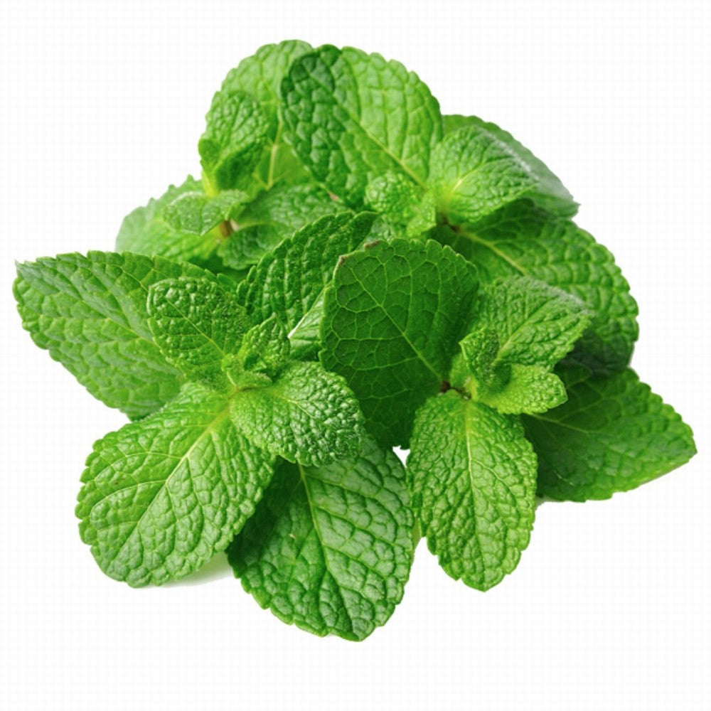 Mint Organic 20G