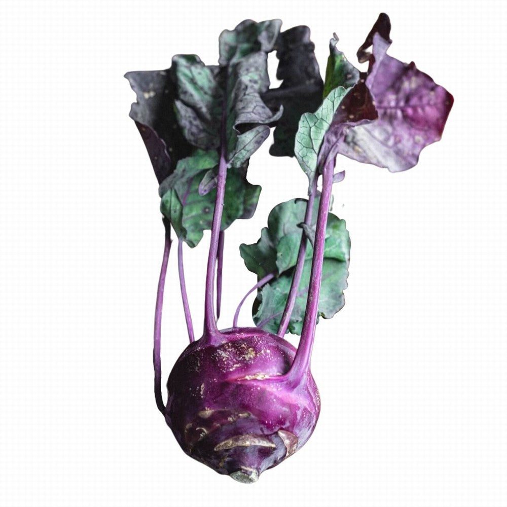 Kohl Rabi Purple Organic