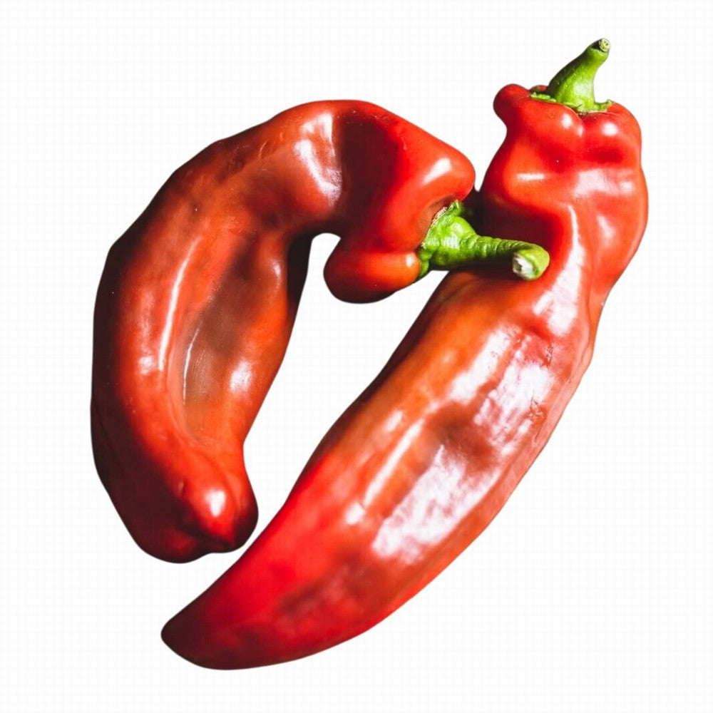 Pepper Romano Organic