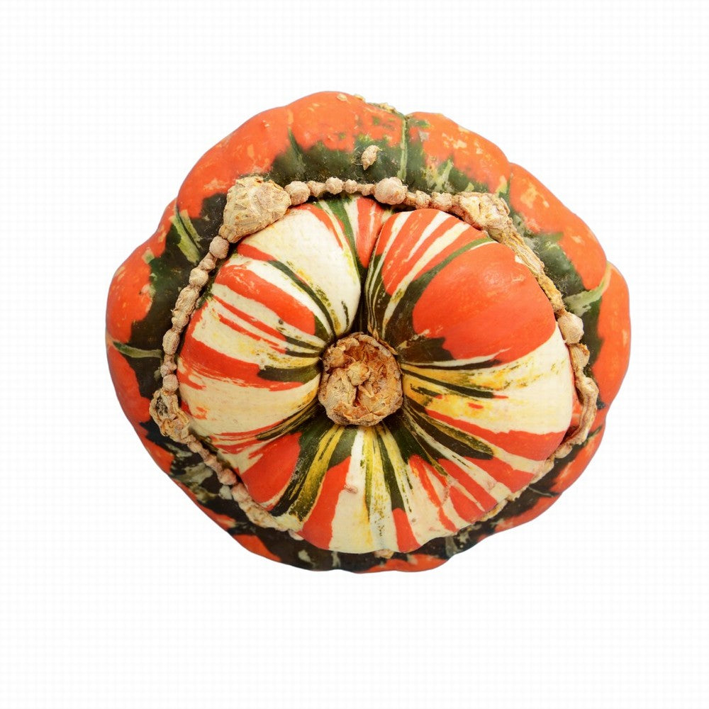 Squash Turks Turban Organic