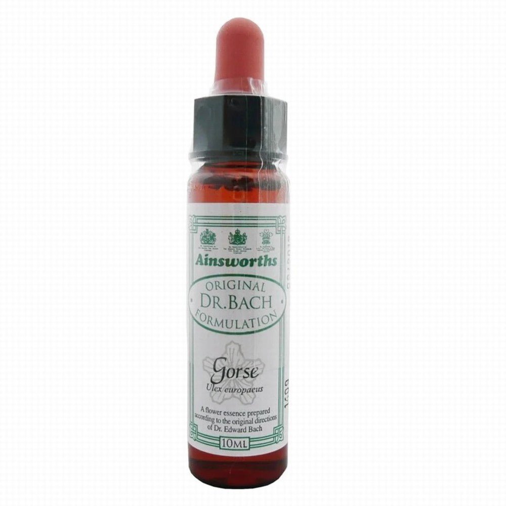 Ainsworths Bach Flower Gorse - Earthfare Supermarket - 5032587000574