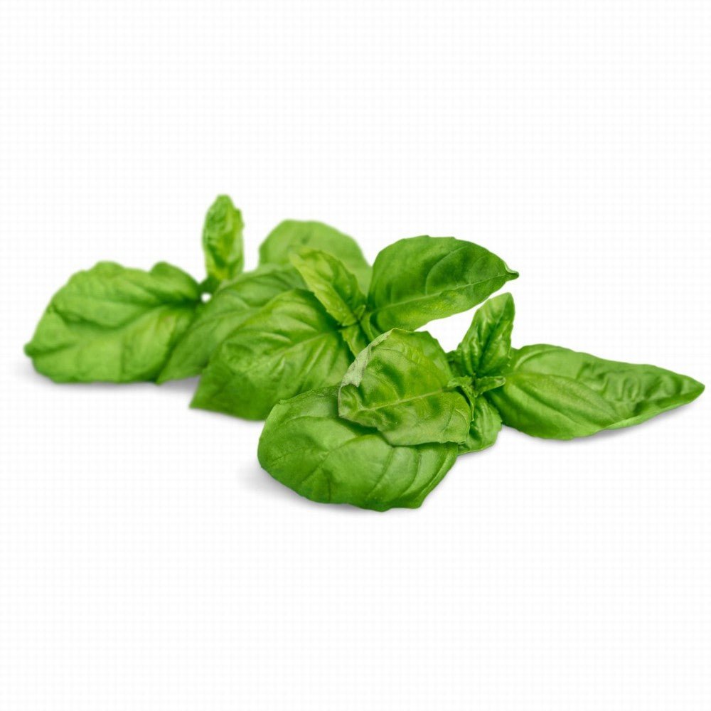 Basil Organic Fresh - Earthfare Supermarket - 127042