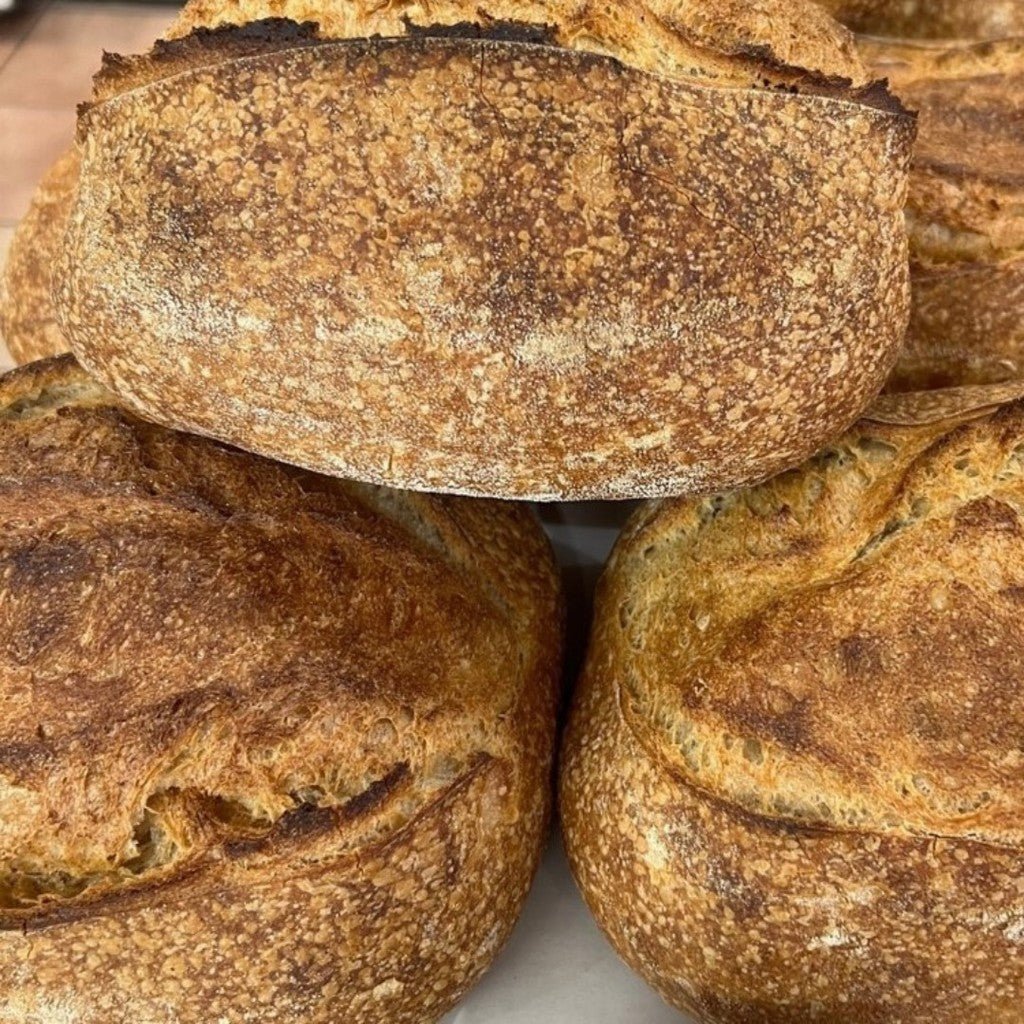 Bristol Loaf White Sourdough 1Kg - Earthfare Supermarket -