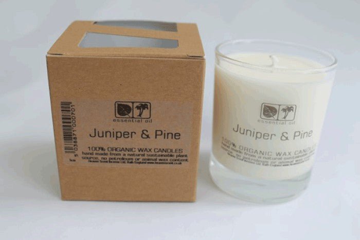 Heaven Scent Juniper & Pine Aromapot - Earthfare Supermarket - 5038871000763