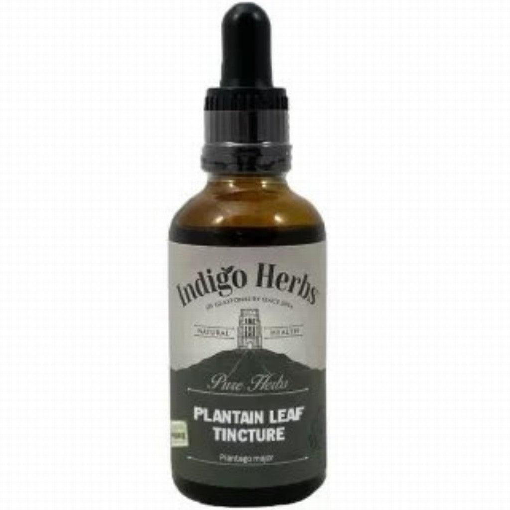 Indigo Herbs Plantain Leaf Tincture 50Ml - Earthfare Supermarket -