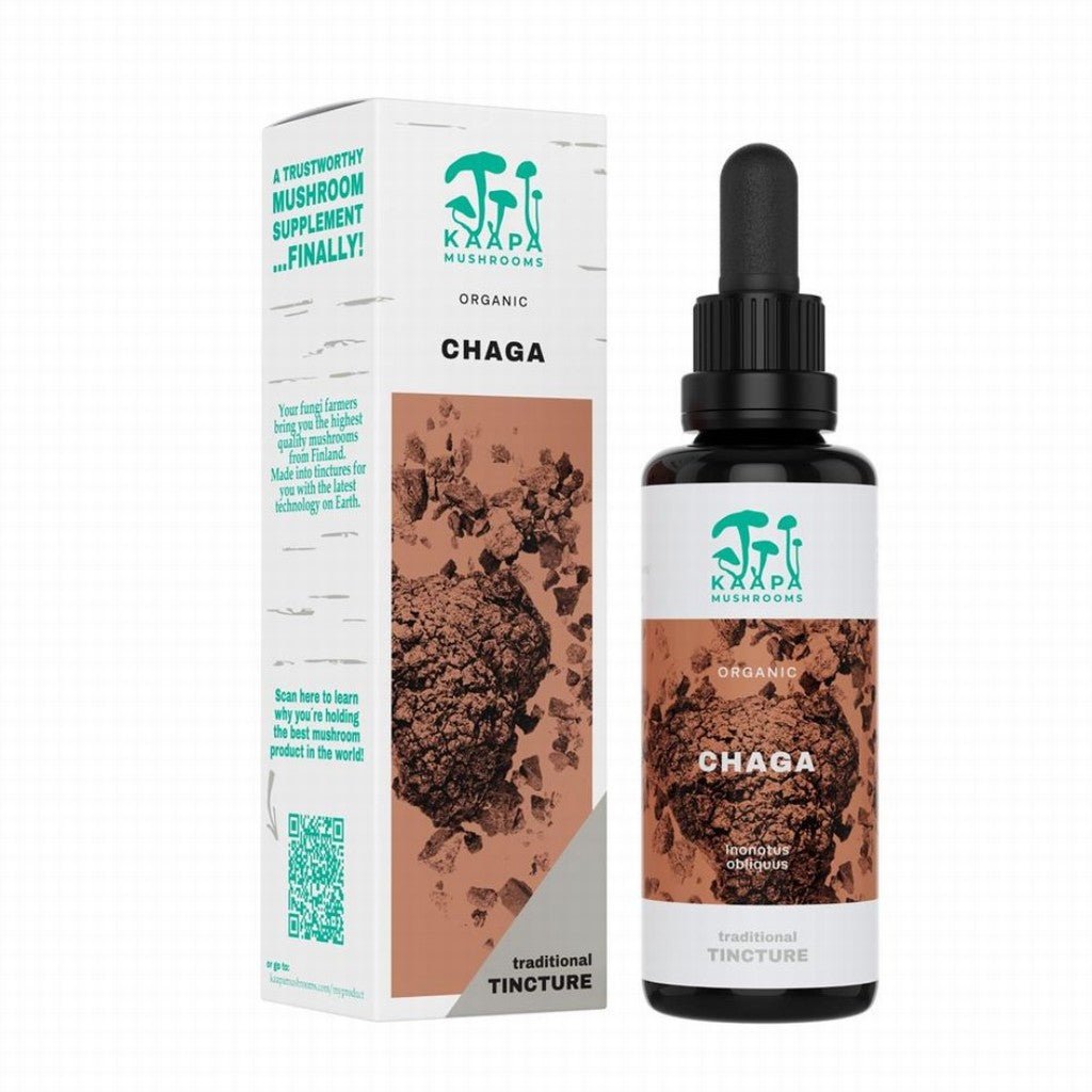 Kaapa Mushrooms Chaga Organic Extract Tincture - Earthfare Supermarket - 6430071310052