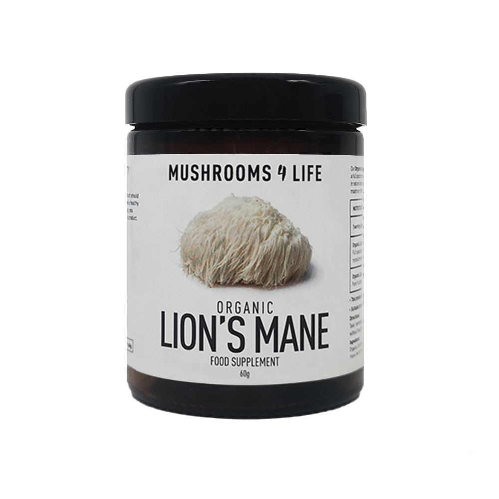 Mushrooms 4 Life Organic Lion's Mane Powder - Earthfare Supermarket - 0634158970351