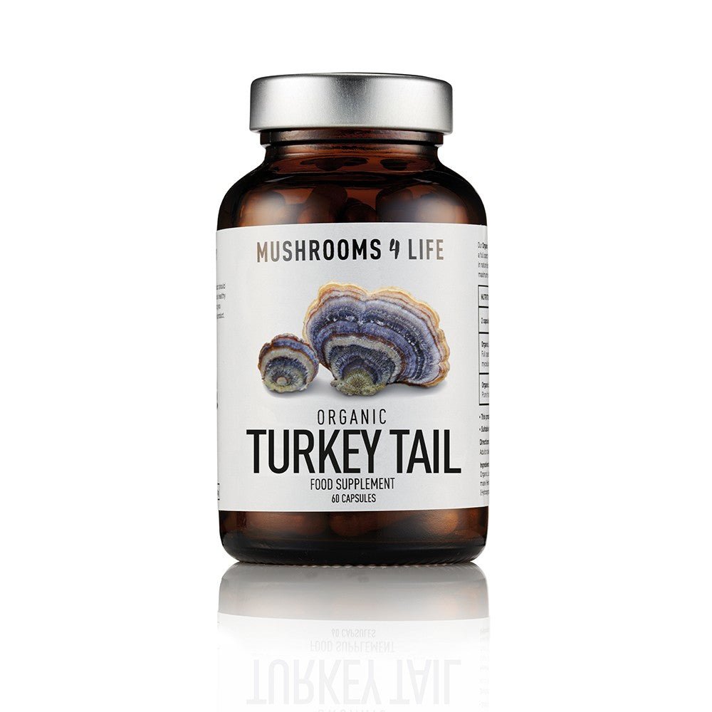 Mushrooms 4 Life Organic Turkey Tail Capsules - Earthfare Supermarket - 0658556117125