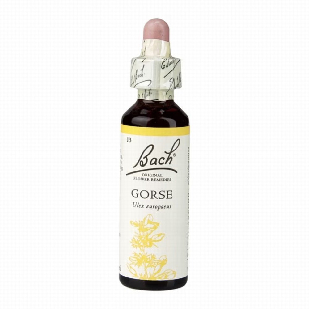 Nelson Bach Gorse - Earthfare Supermarket - 5000488103137