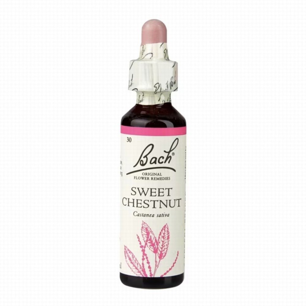 Nelson Bach Sweet Chestnut - Earthfare Supermarket - 5000488103304