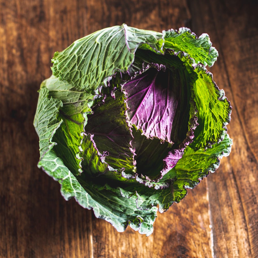 Organic January King Cabbage - Earthfare Supermarket -