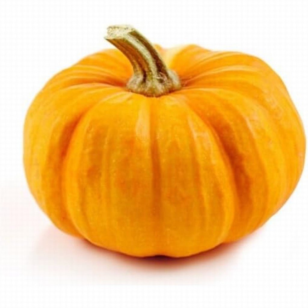 Pumpkin Small Organic - Earthfare Supermarket - 3013012