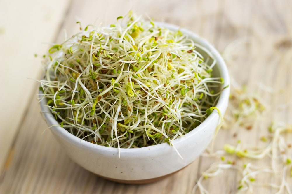 Sky Sprouts Organic Sprouted Alfalfa & Fenugreek - Earthfare Supermarket - 5060031140057