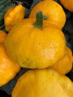 Squash Patty Pan Organic - Earthfare Supermarket - 3013038