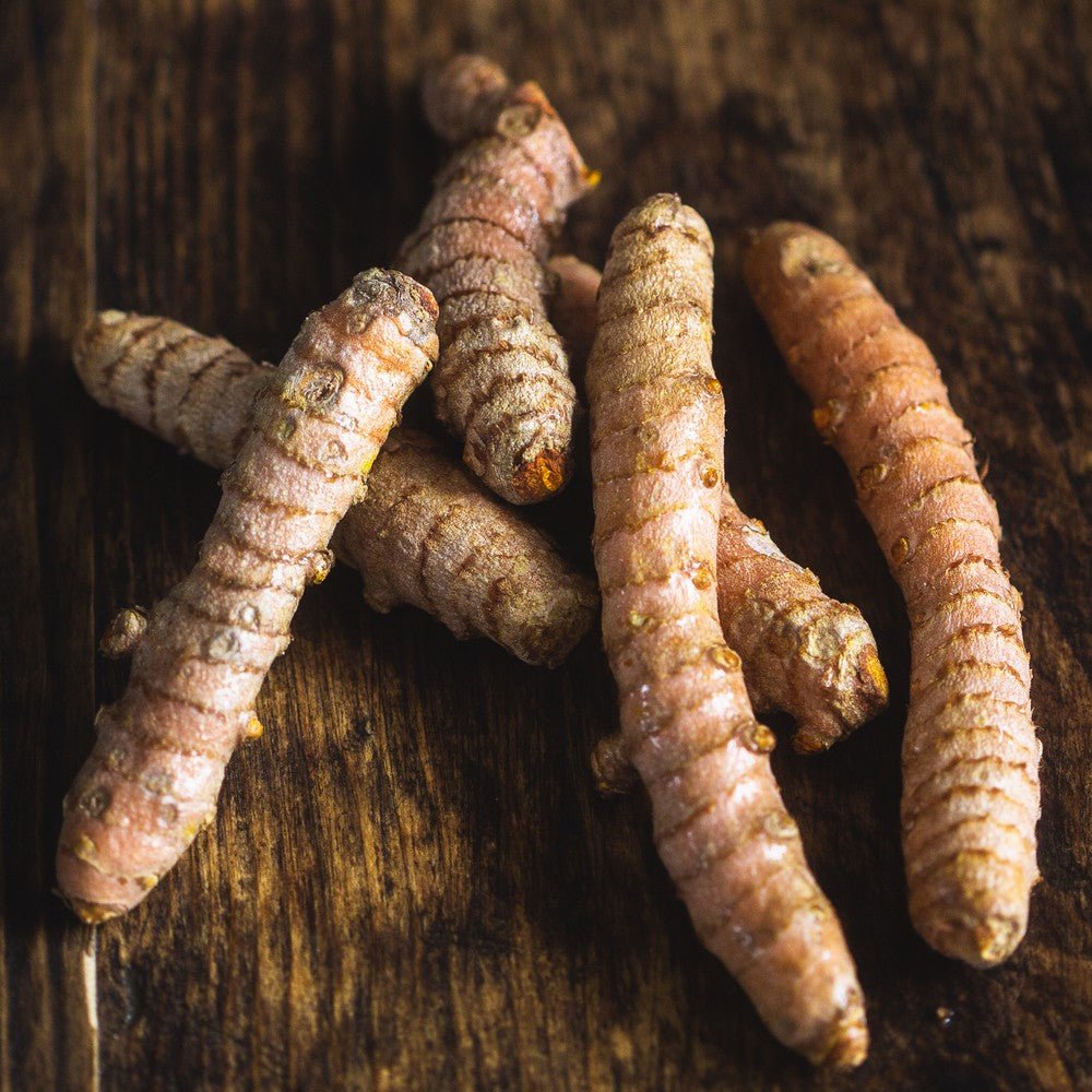 Turmeric Root Organic - Earthfare Supermarket - 3013056