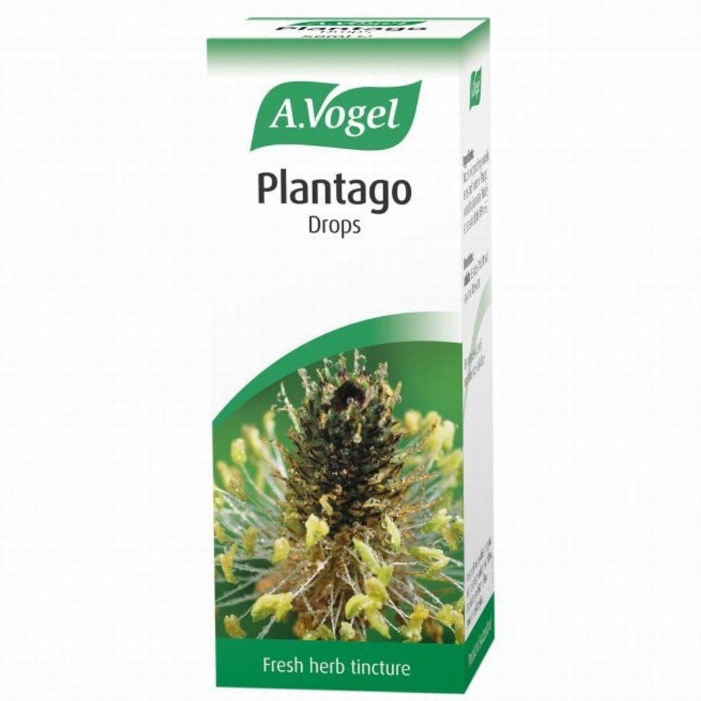 Vogel Plantago Lanceolata Tincture - Earthfare Supermarket - 7610313303403