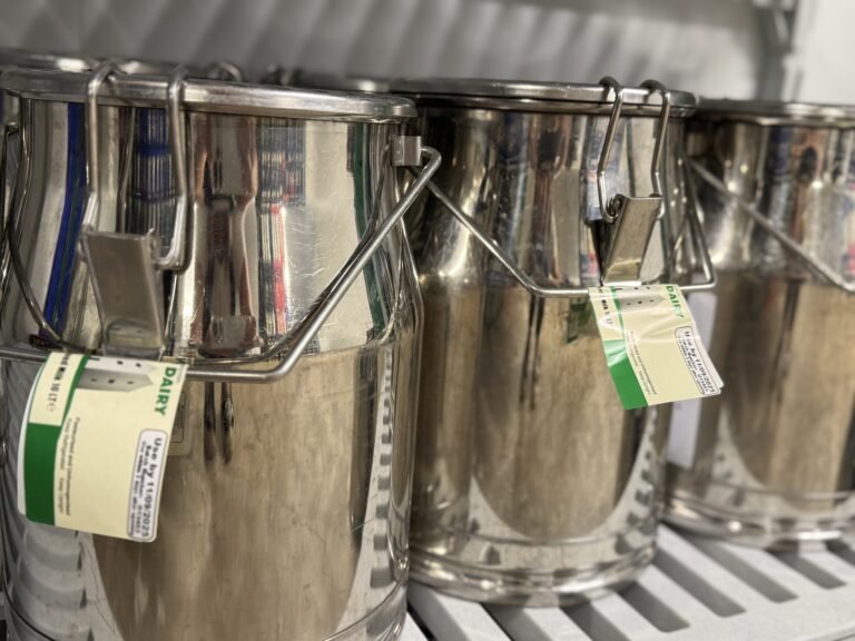 Dairy & Eggs - Earthfare Supermarket