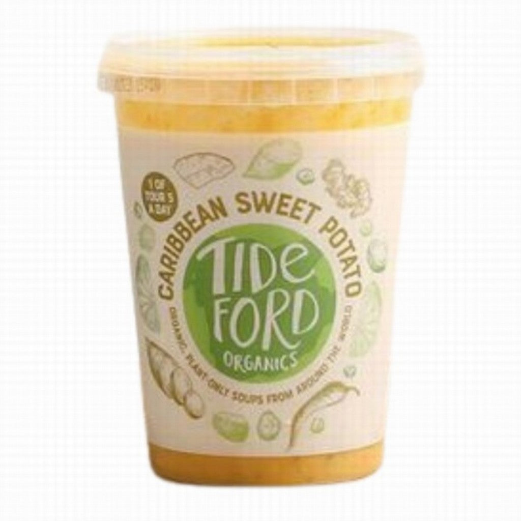 Tideford Organics Caribbean Sweet Potato Soup