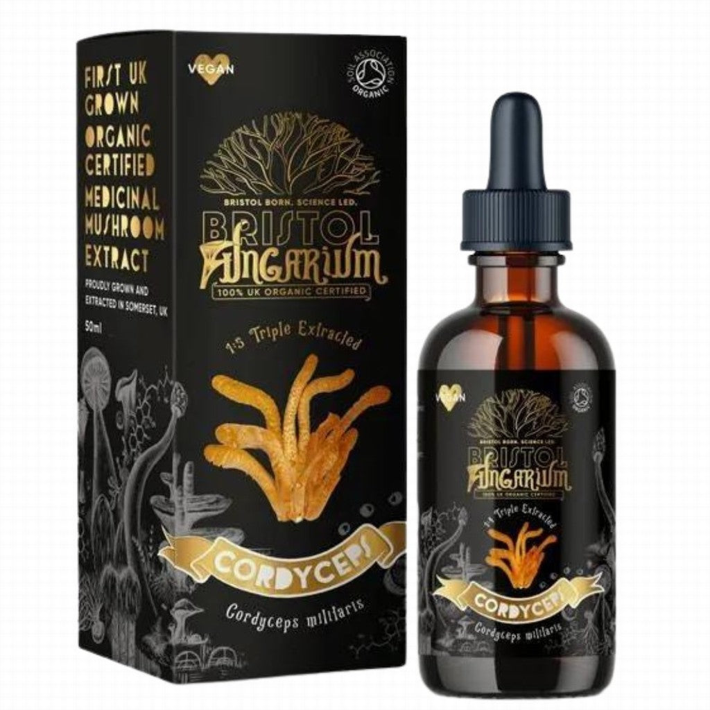 Bristol Fungarium Cordyceps