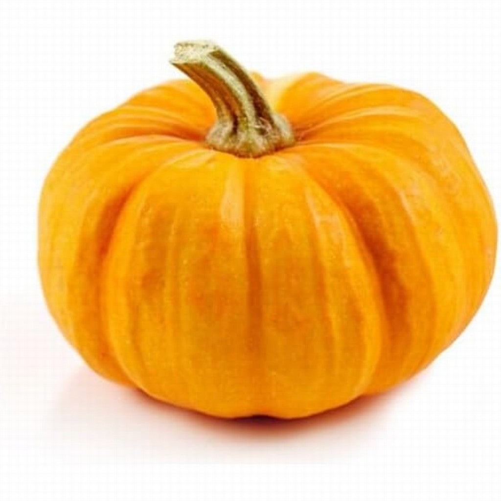 Pumpkin Small Organic