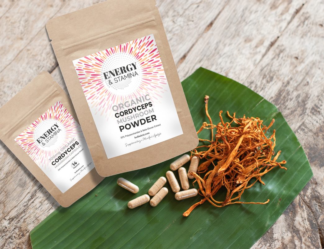 Holistic 6 Cordyceps 14 Capsules