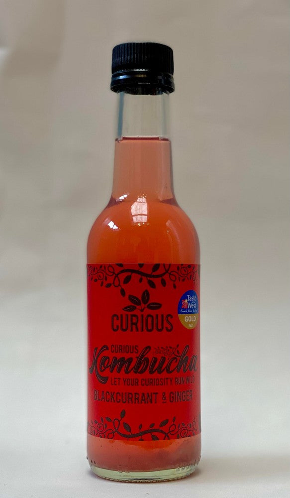 Curious Kombucha Blackcurrant & Ginger Kombucha