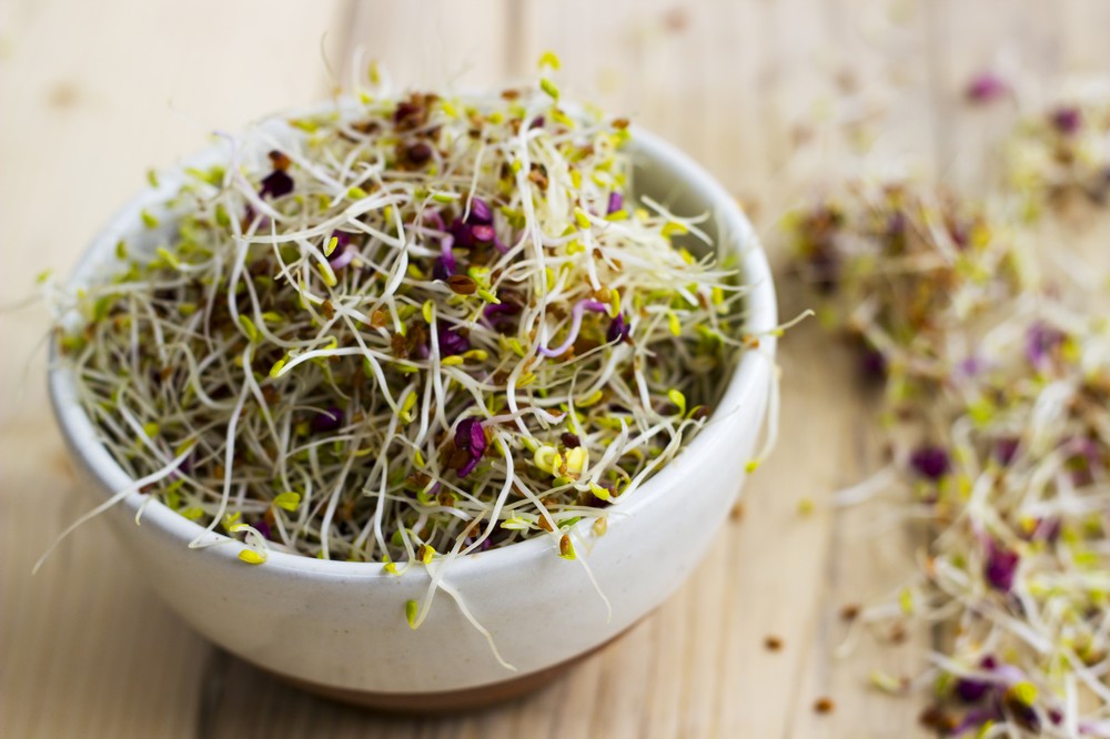 Sky Sprouts Organic Sprouted Alfalfa & Radish