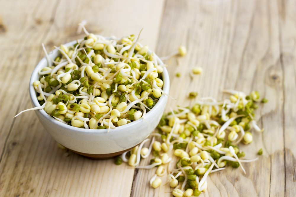 Sky Sprouts Organic Sprouted Mung Beans