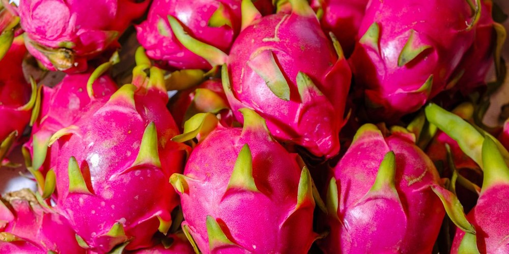 Dragon Fruit Pitaya Organic