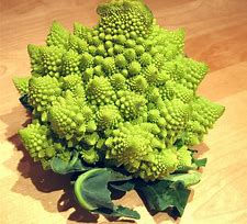 Cauliflower Romanesco