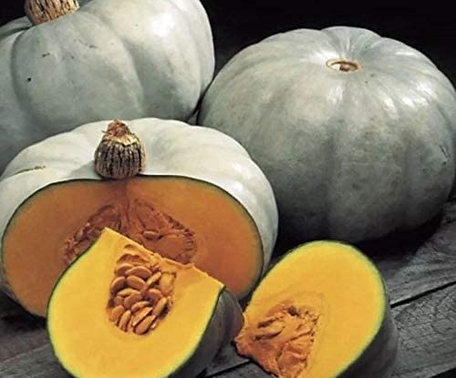 Squash Crown Prince Organic