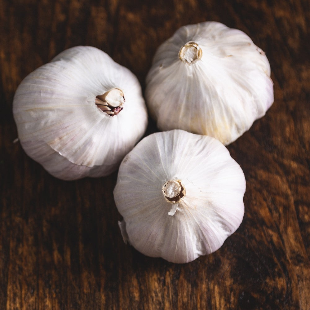 Garlic Organic