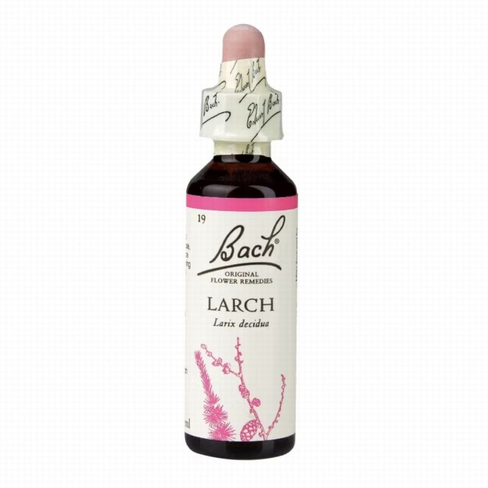 Nelson Bach Larch