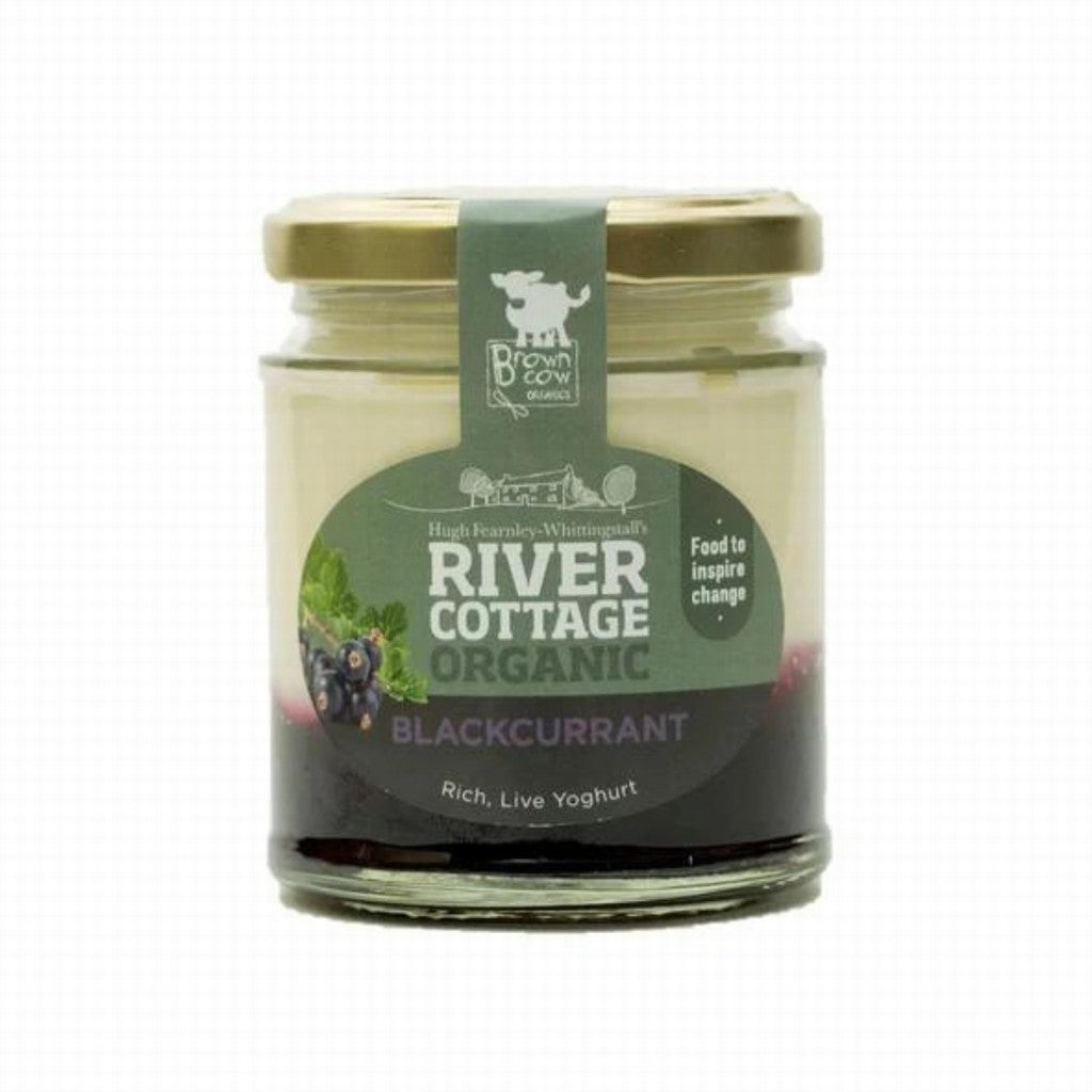 River Cottage Yoghurt Blackcurrant 160ml