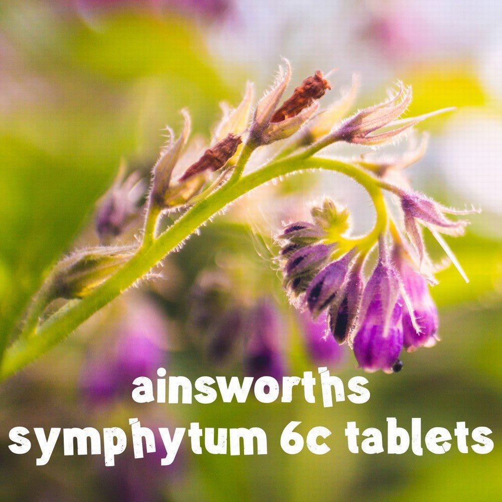 Ainsworths Symphytum 6C - Earthfare Supermarket - 7654321166162
