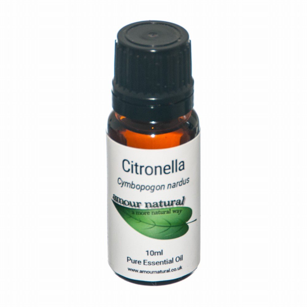 Amour Natural Citronella Oil - Earthfare Supermarket - 5060337350068
