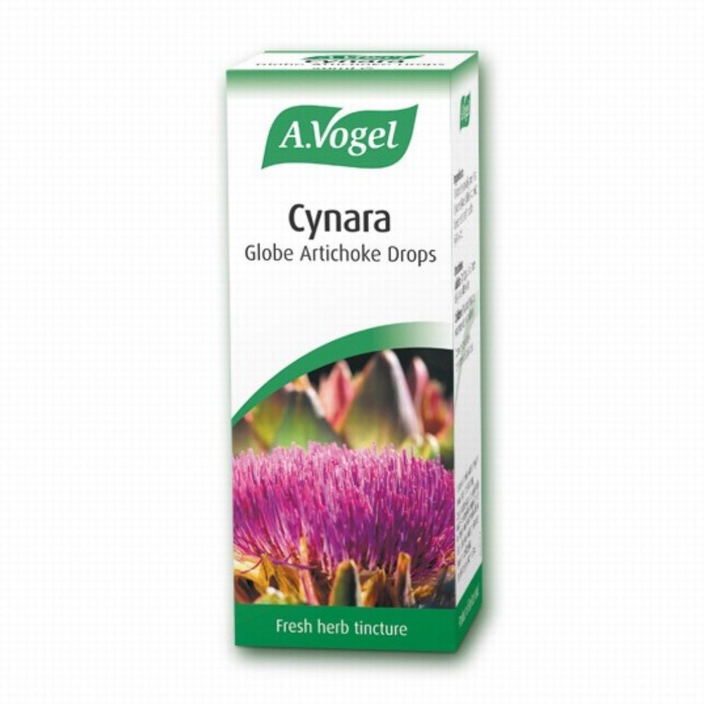 A.Vogel Cynara Globe Artichoke Tincture - Earthfare Supermarket - 7610313303076